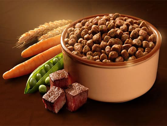 Global Pet Food Industry Statistics